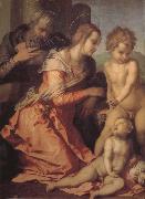 Andrea del Sarto Holy family oil